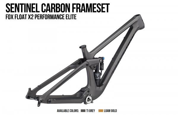 Copy of SentinelFrameset